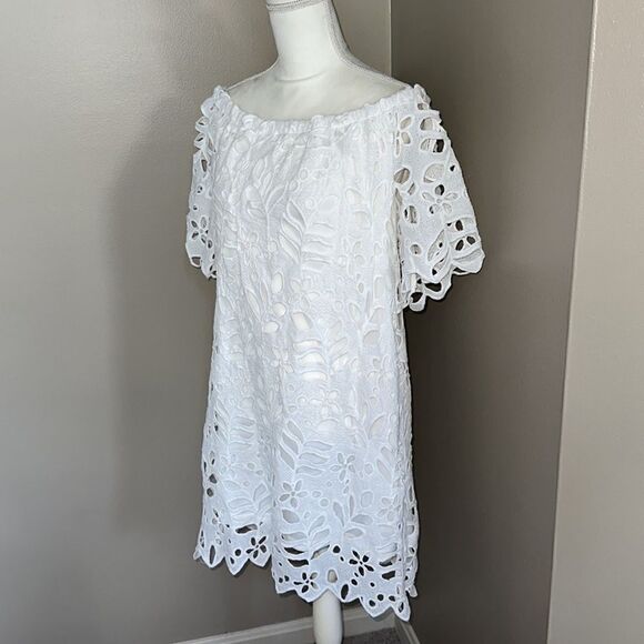 Pretty Garden Cutout Lace Dress! - Picture 4 of 8